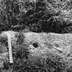 Park of Tongland.
Cup and ring marked stone.