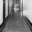 View of office sample corridor with marble linoleum tiles