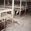 View from NE corner of covered cattle court, photographed 9 May 1994