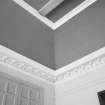 First floor, council chambers, detail of cornice
