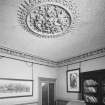 Detail of ceiling rose and cornice in manger's office.