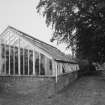 Glasshouse, detail