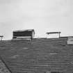 Detail of West range roof vents