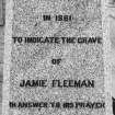 Obelisk shaped monument to Jamie Fleeman, inscription, detail