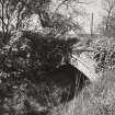 View of North West Bridge (overgrown)