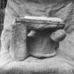 Aberdeen, Duthie Park.
Carved capital.