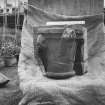 Aberdeen, Duthie Park.
Carved capital.