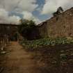 Inveraray Castle Estate, Kitchen Gardens.
General view of the North-East angle of the garden.