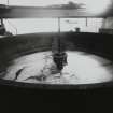 Bruichladdich Distillery, Islay.
View of cast iron mash turn, showing mechanical stirring arms.