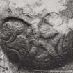View of detail on West Highland graveslab from Saddell Abbey, Kintyre.