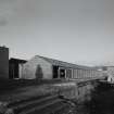 View of livestock sheds from S