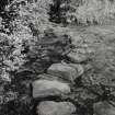 Detail of N garden 'middle pool' stepping stones