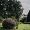 On-line Digital Images