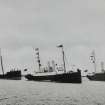 Photographic copy of a view showing three of the Nobel Company steamers at anchor off the wharf.