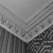 Detail of cornice in ground floor front office
