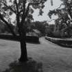 On-line Digital Images