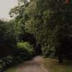 Glasgow, 161 Crookston Road.
General view of garden.
