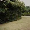 Glasgow, 161 Crookston Road.
General view of garden.
