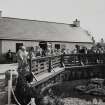 Glasgow, Garden Festival.
General view of Para Handy's cottage.