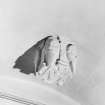 Interior.
Detail of ceiling boss in N window embrasure of hall, principal floor.