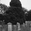 General view of burial-ground and ivy-shrouded West gable of church.