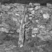 On-line Digital Images