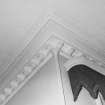 Interior.
Detail of cornice in the ground floor North apartment.