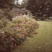 On-line Digital Images