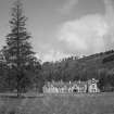 View from South East showing the lodge in its setting