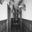 Interior. Ground floor view of stags head lined corridor in West wing.