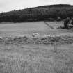 General view of remains of whin mill.