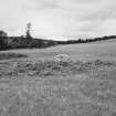 General view of remains of whin mill.