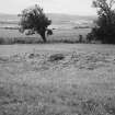 General view of remains of whin mill.