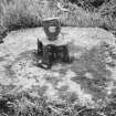 Detail of centre pivot of whin mill.