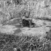 Detail of centre pivot of whin mill.