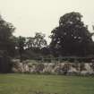 View of topiary by the walled garden.