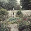 View of Mark's garden.