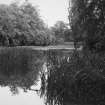 Lake, view from South