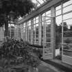 Conservatory, view of interior from West