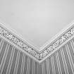 Interior.
Detail of cornice in ground floor apartment.