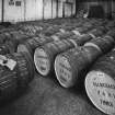 Cooperage (10).  View of recmntly stencilled and bar-coded barrels awaiting transfer to Filling Store (8) for filling