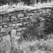East wall of byre showing capping course