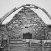 Photograph showing surviving cruck truss within cruck-framed cottage; Latheron, Caithness.