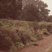Herbaceous border (flattened by rain of 1985)
RESTRICTED ACCESS