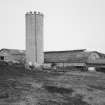 Grain silo and cattle courts, view from south west