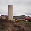 Grain silo and cattle courts, view from south west