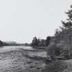 View from Ness Island, looking down river