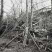 View of remains of greenhouses