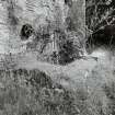 On-line Digital Images
