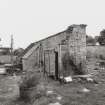 Walled garden, North East corner